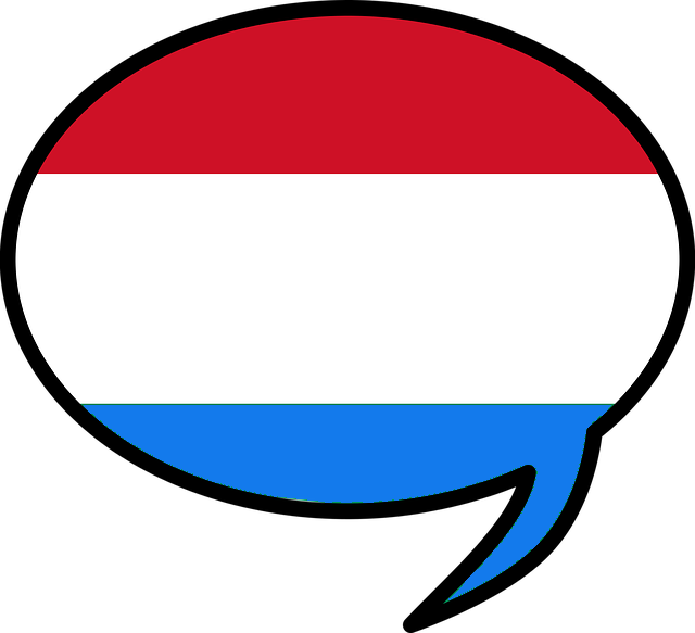 Nederlands voor Hongaren afbeelding